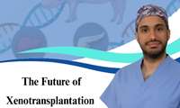 گفت‌وگو با دکتر امیر صنعت‌کار: آینده پیوند اعضا از حیوان به انسان (Xenotransplantation)