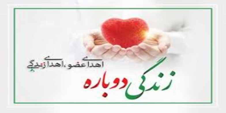 اهدای عضو - اهدای زندگی :نجات جان 400 بیمار در سال 1404 و تداوم فعالیت در دوران جنگ 